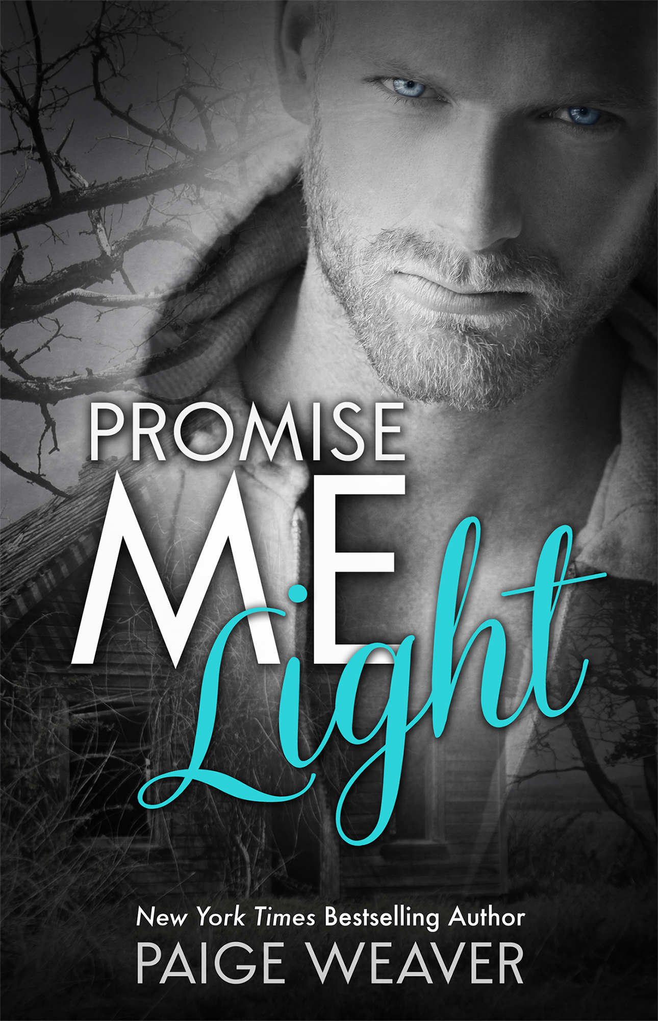 Promise Me Light book cover